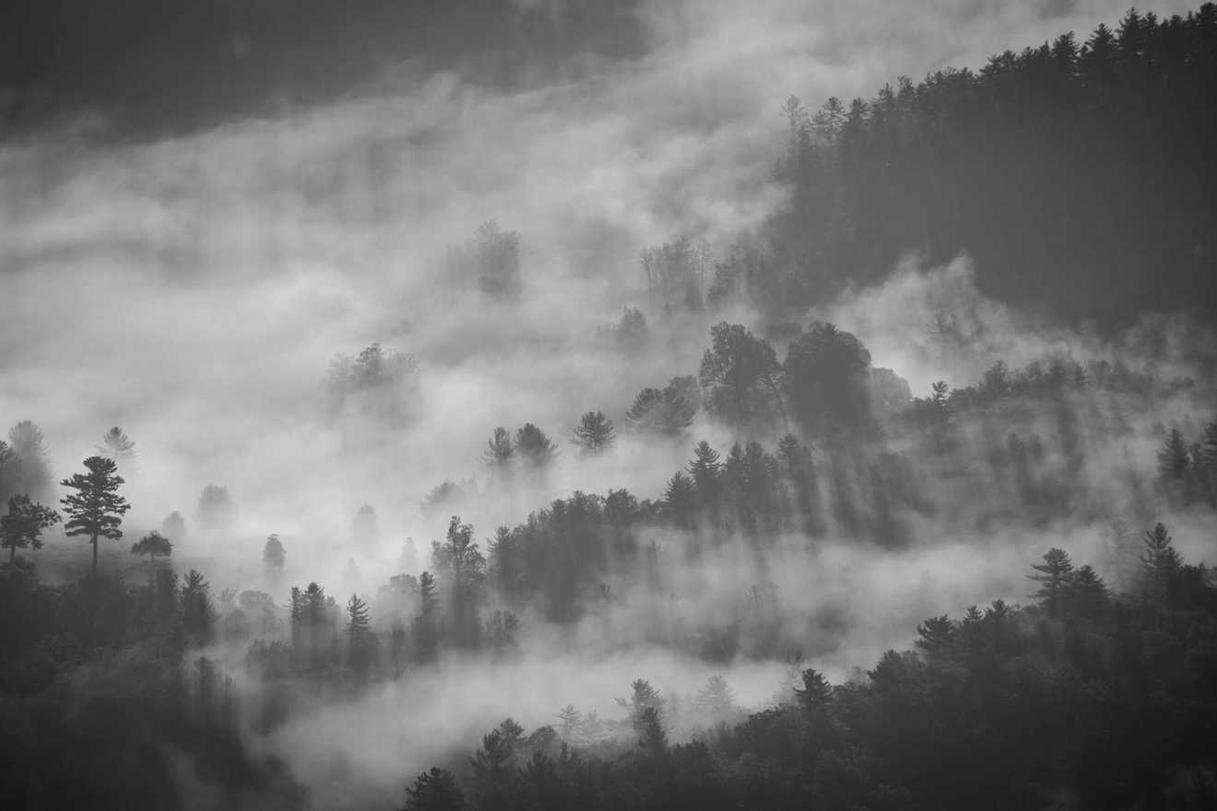 Culpa corporis amet et ex iusto deleniti